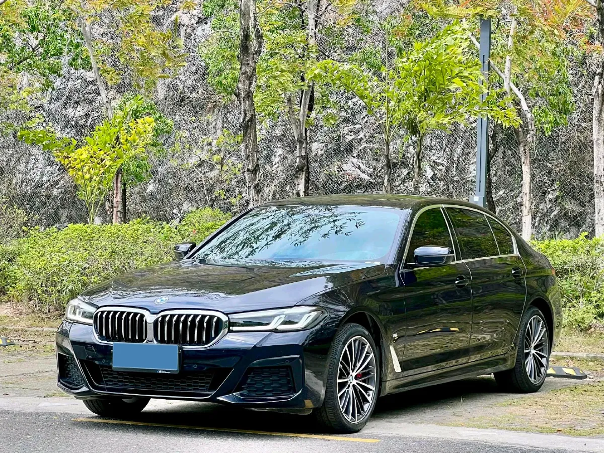 2023 BMW 5 Series 2.0T 245HP L4 8AT,autocango,china used car exporter,china ev exporter,chinese used car exporter,chinese used ev exporter