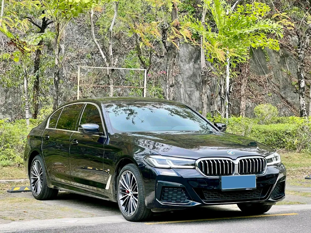 2023 BMW 5 Series 2.0T 245HP L4 8AT,autocango,china used car exporter,china ev exporter,chinese used car exporter,chinese used ev exporter