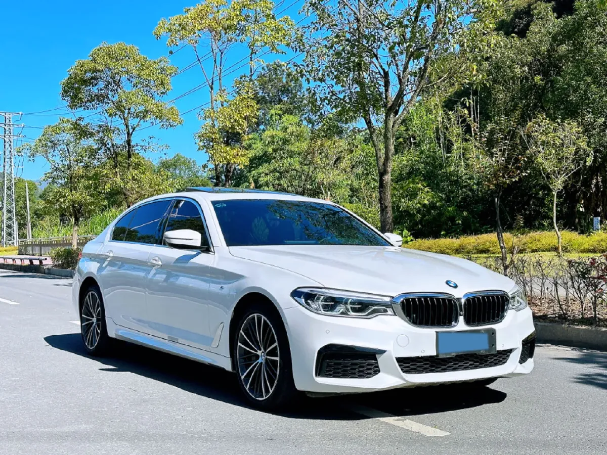 2020 BMW 5 Series 2.0T 252HP L4 8AT,autocango,china used car exporter,china ev exporter,chinese used car exporter,chinese used ev exporter
