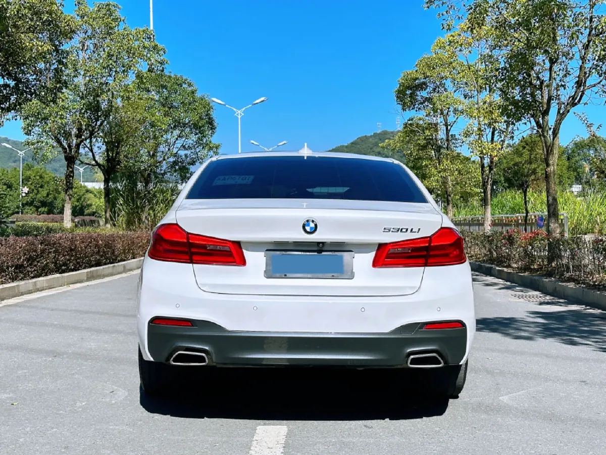 2020 BMW 5 Series 2.0T 252HP L4 8AT,autocango,china used car exporter,china ev exporter,chinese used car exporter,chinese used ev exporter