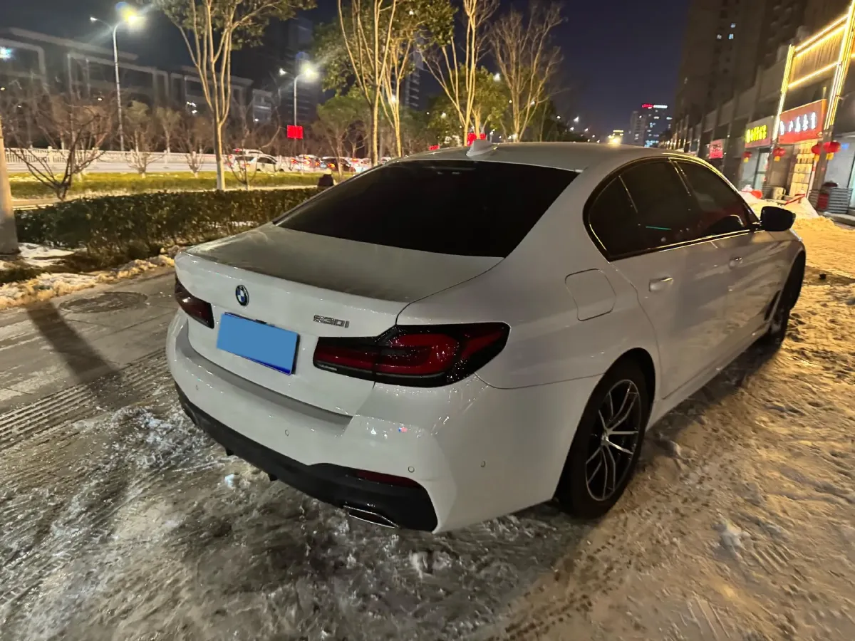 2022 BMW 5 Series 2.0T 184HP L4 8AT,autocango,china used car exporter,china ev exporter,chinese used car exporter,chinese used ev exporter