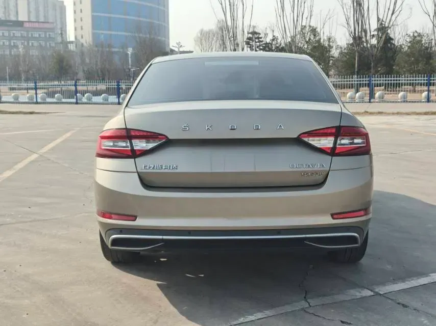 2019 Skoda Octavia 1.2T 116HP L4 7DCT,autocango,china used car exporter,china ev exporter,chinese used car exporter,chinese used ev exporter