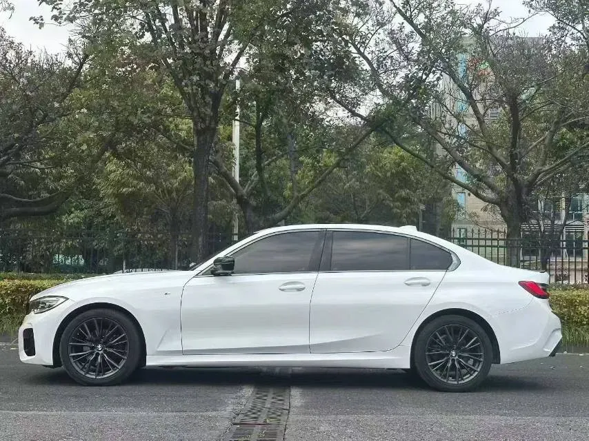 2020 BMW 3 Series 2.0T 184HP L4 8AT,autocango,china used car exporter,china ev exporter,chinese used car exporter,chinese used ev exporter