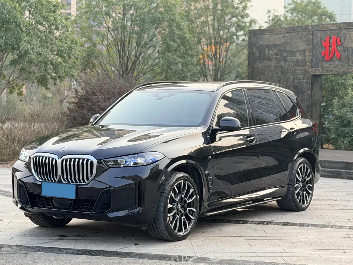 2023 BMW X5 3.0T 381HP L6 8AT,autocango,china used car exporter,china ev exporter,chinese used car exporter,chinese used ev exporter