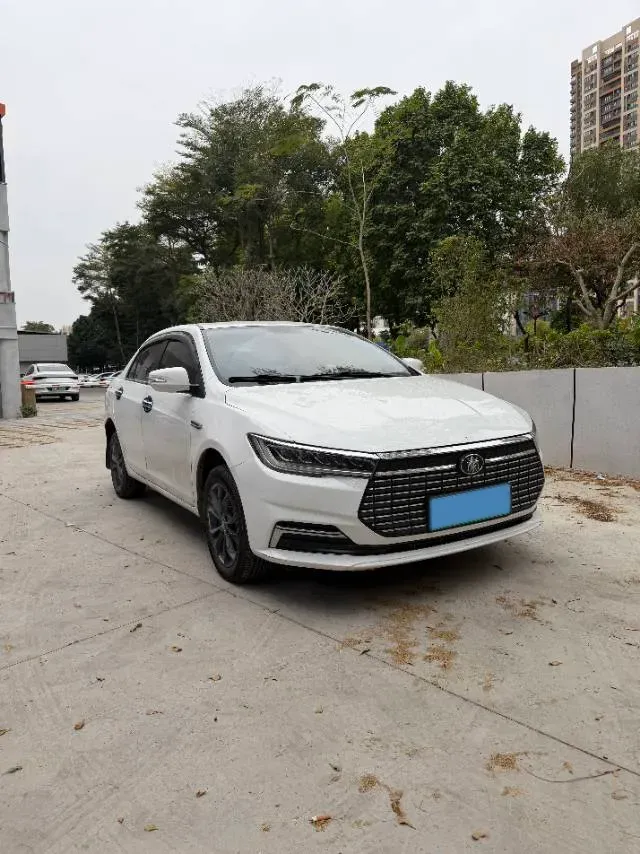 2019 BYD Qin BEV 53.1KWH,autocango,china used car exporter,china ev exporter,chinese used car exporter,chinese used ev exporter