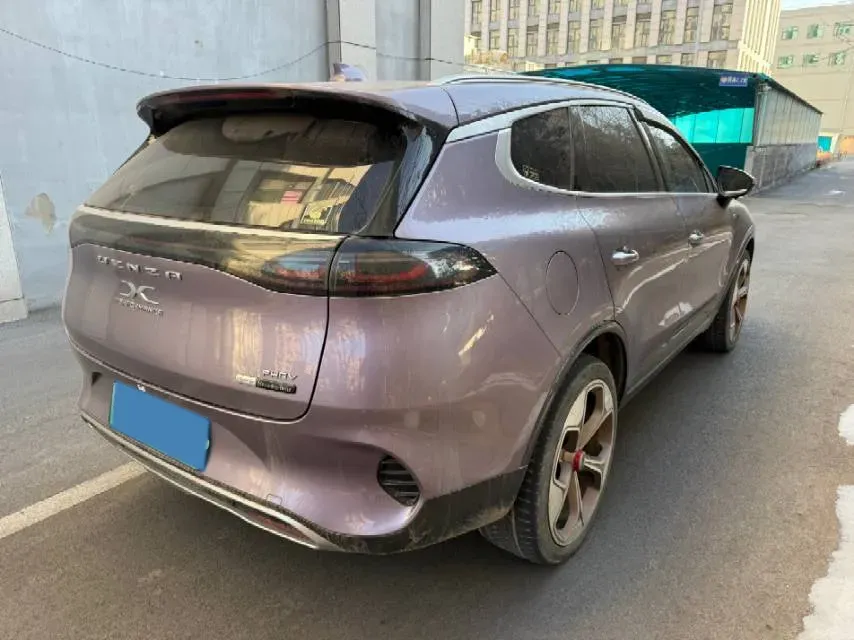 2020 Denza X 2.0T 192HP L4 6DCT PHEV 24KWH,autocango,china used car exporter,china ev exporter,chinese used car exporter,chinese used ev exporter