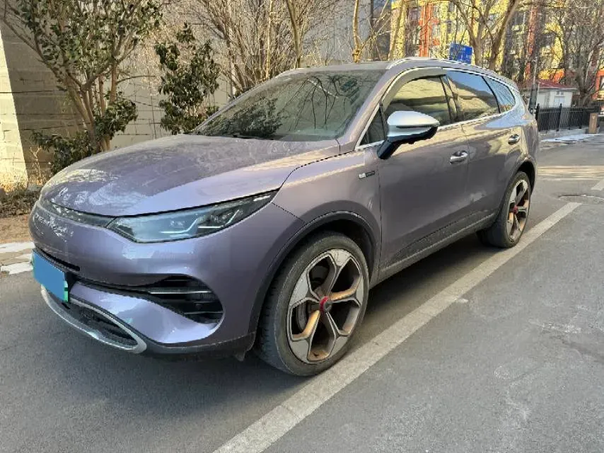 2020 Denza X 2.0T 192HP L4 6DCT PHEV 24KWH,autocango,china used car exporter,china ev exporter,chinese used car exporter,chinese used ev exporter