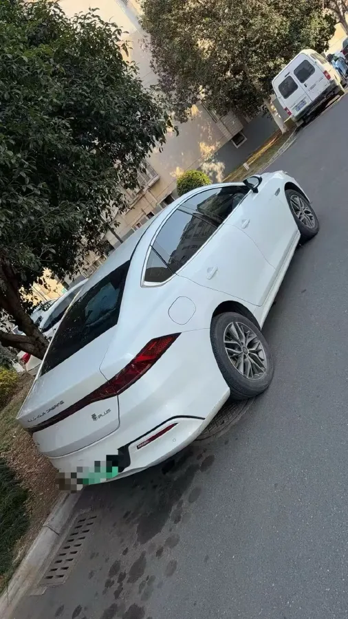 2024 BYD Qin Plus BEV 48KWH,autocango,china used car exporter,china ev exporter,chinese used car exporter,chinese used ev exporter