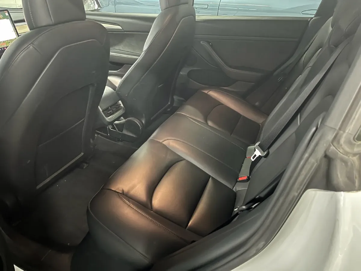 2021 Tesla Model 3 BEV 55KWH,autocango,china used car exporter,china ev exporter,chinese used car exporter,chinese used ev exporter