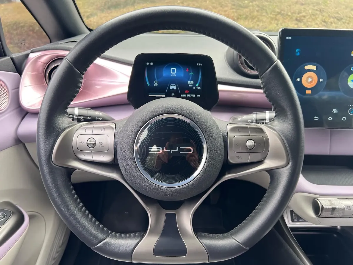 2021 BYD e2 BEV 43.2KWH,autocango,china used car exporter,china ev exporter,chinese used car exporter,chinese used ev exporter