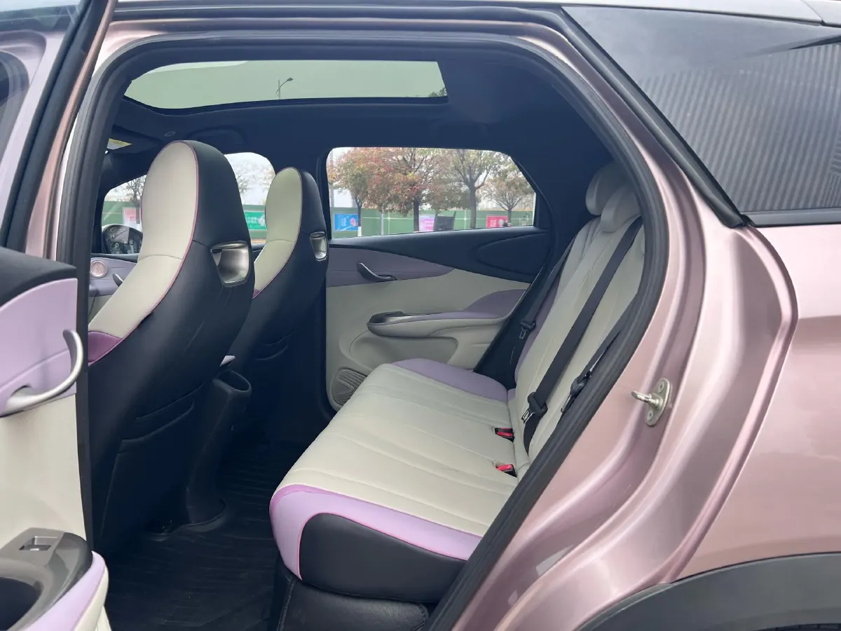 2021 BYD e2 BEV 43.2KWH,autocango,china used car exporter,china ev exporter,chinese used car exporter,chinese used ev exporter