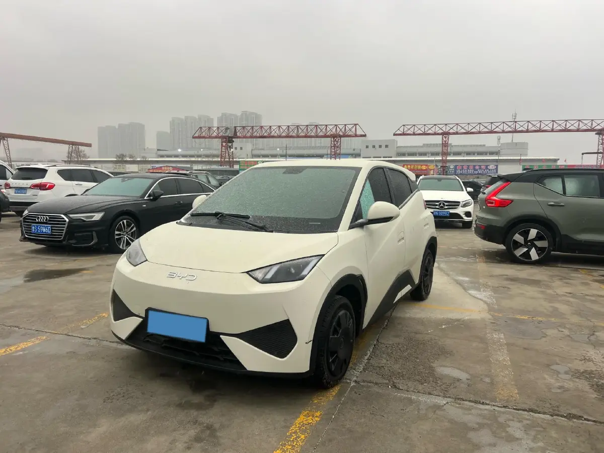2025 BYD Seagull BEV 30.08KWH