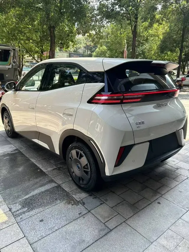 2025 BYD Seagull BEV 30.08KWH,autocango,china used car exporter,china ev exporter,chinese used car exporter,chinese used ev exporter