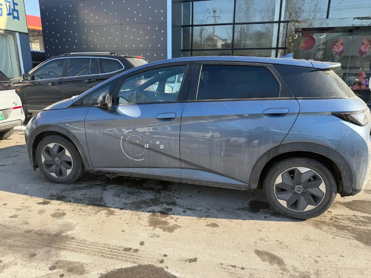 2024 BYD Dolphin BEV 44.928KWH,autocango,china used car exporter,china ev exporter,chinese used car exporter,chinese used ev exporter