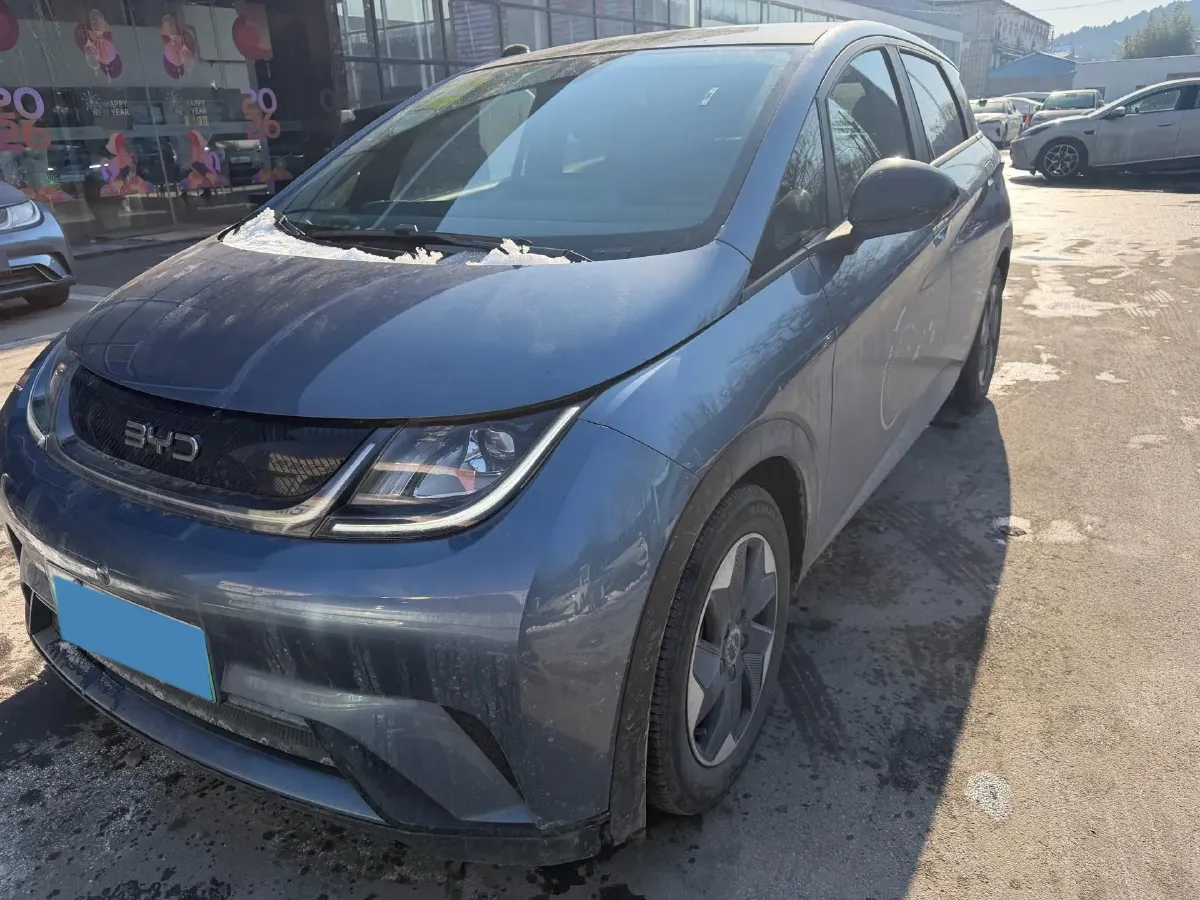 2024 BYD Dolphin BEV 44.928KWH,autocango,china used car exporter,china ev exporter,chinese used car exporter,chinese used ev exporter