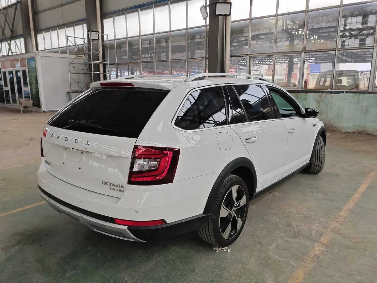 2019 Skoda Octavia 1.4T 150HP L4 7DCT,autocango,china used car exporter,china ev exporter,chinese used car exporter,chinese used ev exporter