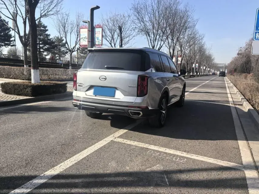 2024 GAC Trumpchi GS8 2.0T 252HP L4 8AT,autocango,china used car exporter,china ev exporter,chinese used car exporter,chinese used ev exporter