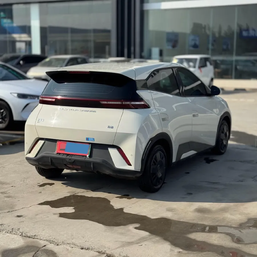 2024 BYD Seagull BEV 30.08KWH,autocango,china used car exporter,china ev exporter,chinese used car exporter,chinese used ev exporter