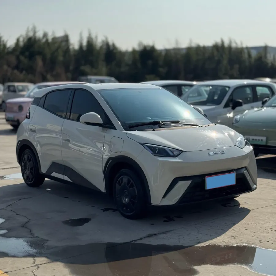 2024 BYD Seagull BEV 30.08KWH,autocango,china used car exporter,china ev exporter,chinese used car exporter,chinese used ev exporter