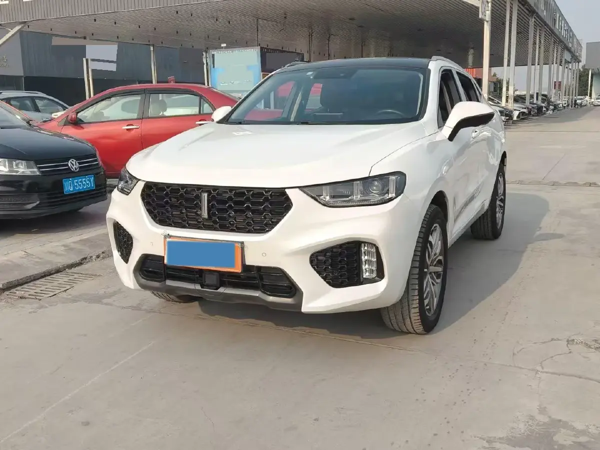 2019 WEY VV5 2.0T 224HP L4 7DCT
