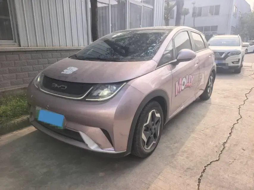 2021 BYD Yuan Pro BEV 50.1KWH