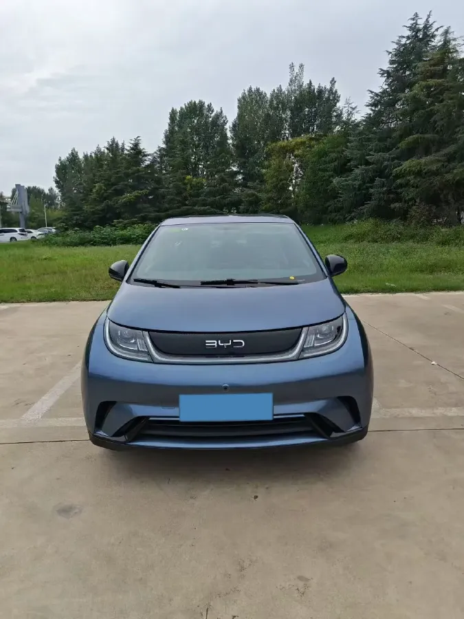 2025 BYD Dolphin BEV 44.928KWH,autocango,china used car exporter,china ev exporter,chinese used car exporter,chinese used ev exporter
