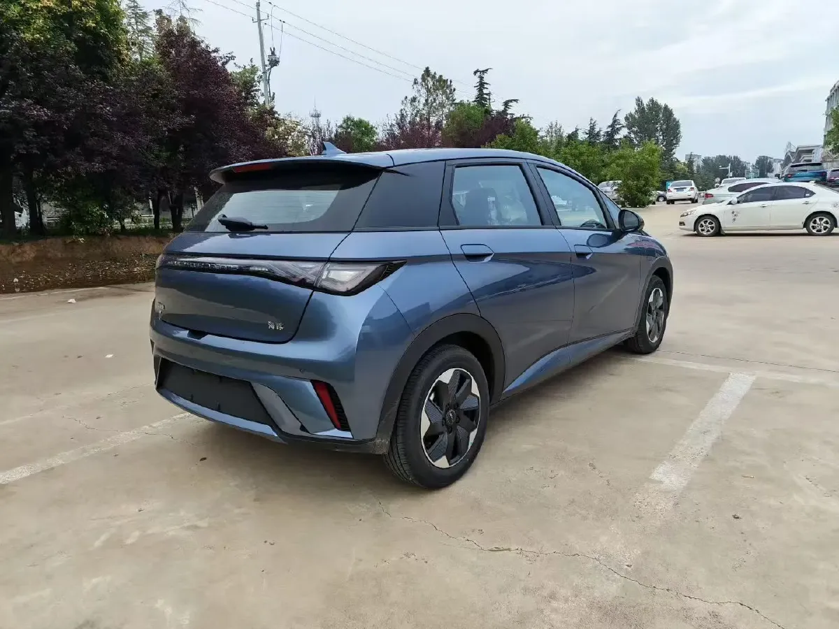2025 BYD Dolphin BEV 44.928KWH,autocango,china used car exporter,china ev exporter,chinese used car exporter,chinese used ev exporter