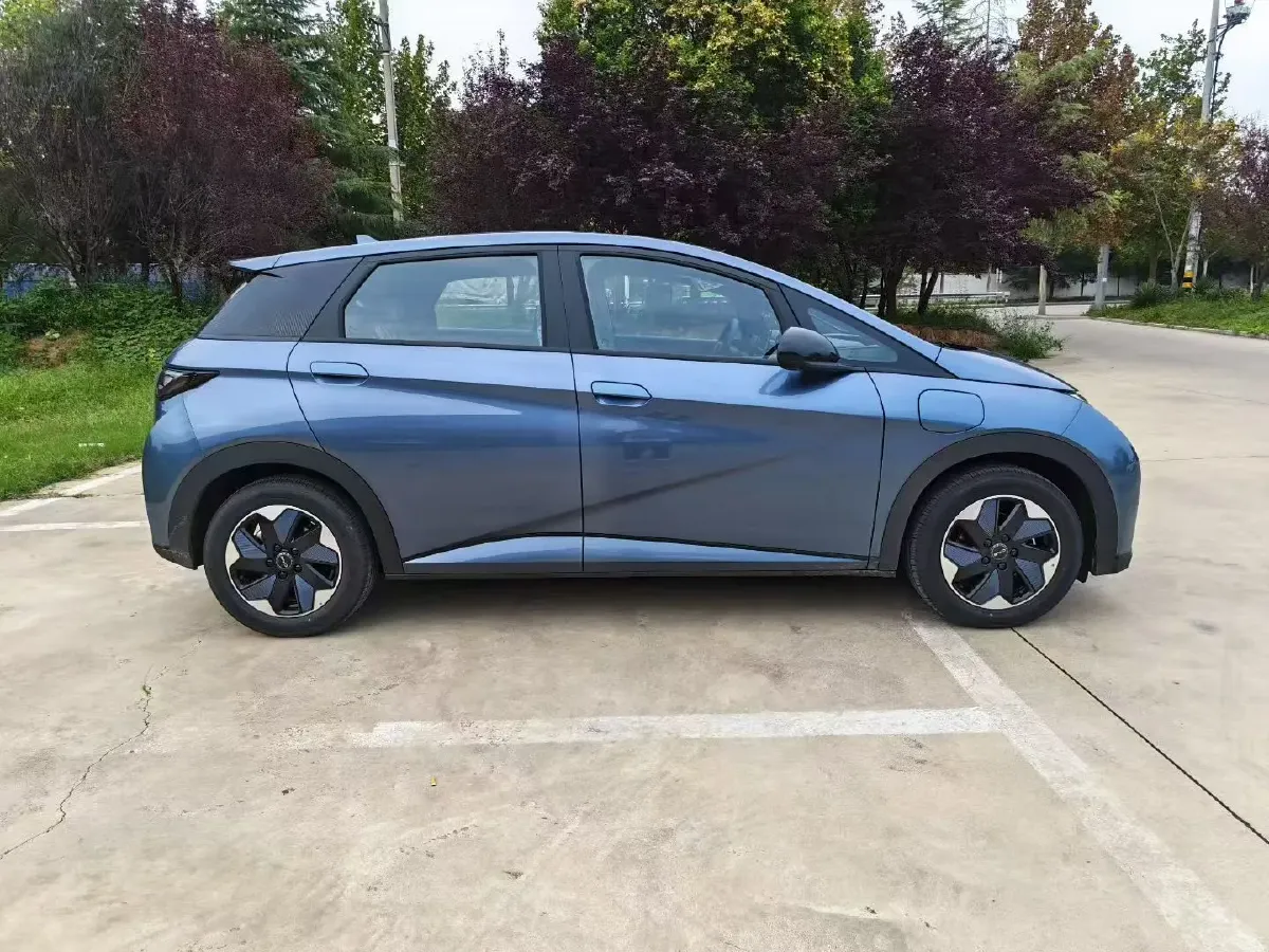 2025 BYD Dolphin BEV 44.928KWH,autocango,china used car exporter,china ev exporter,chinese used car exporter,chinese used ev exporter