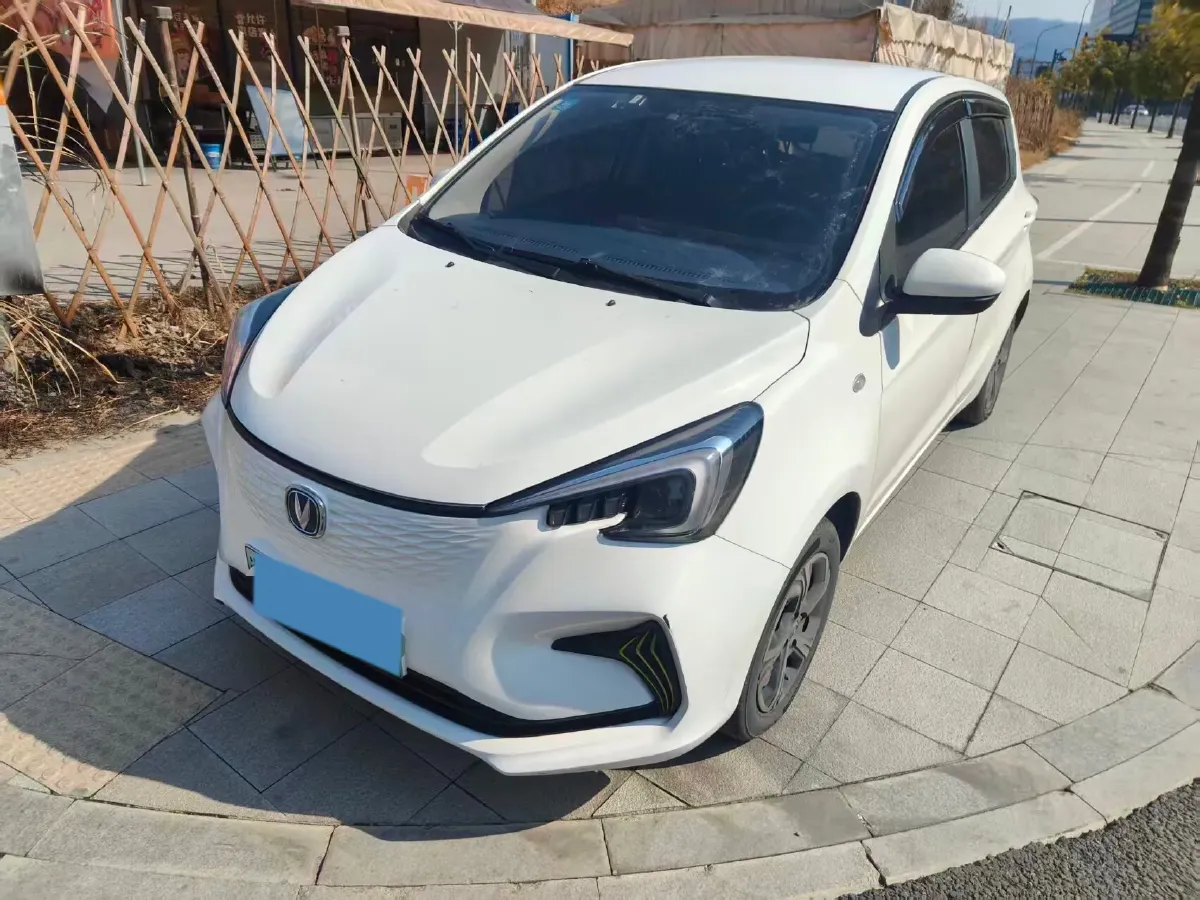 2023 ChangAn BenBen E-Star BEV 30.95KWH,autocango,china used car exporter,china ev exporter,chinese used car exporter,chinese used ev exporter