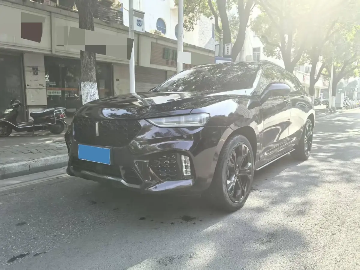 2019 WEY VV7 2.0T 227HP L4 7DCT