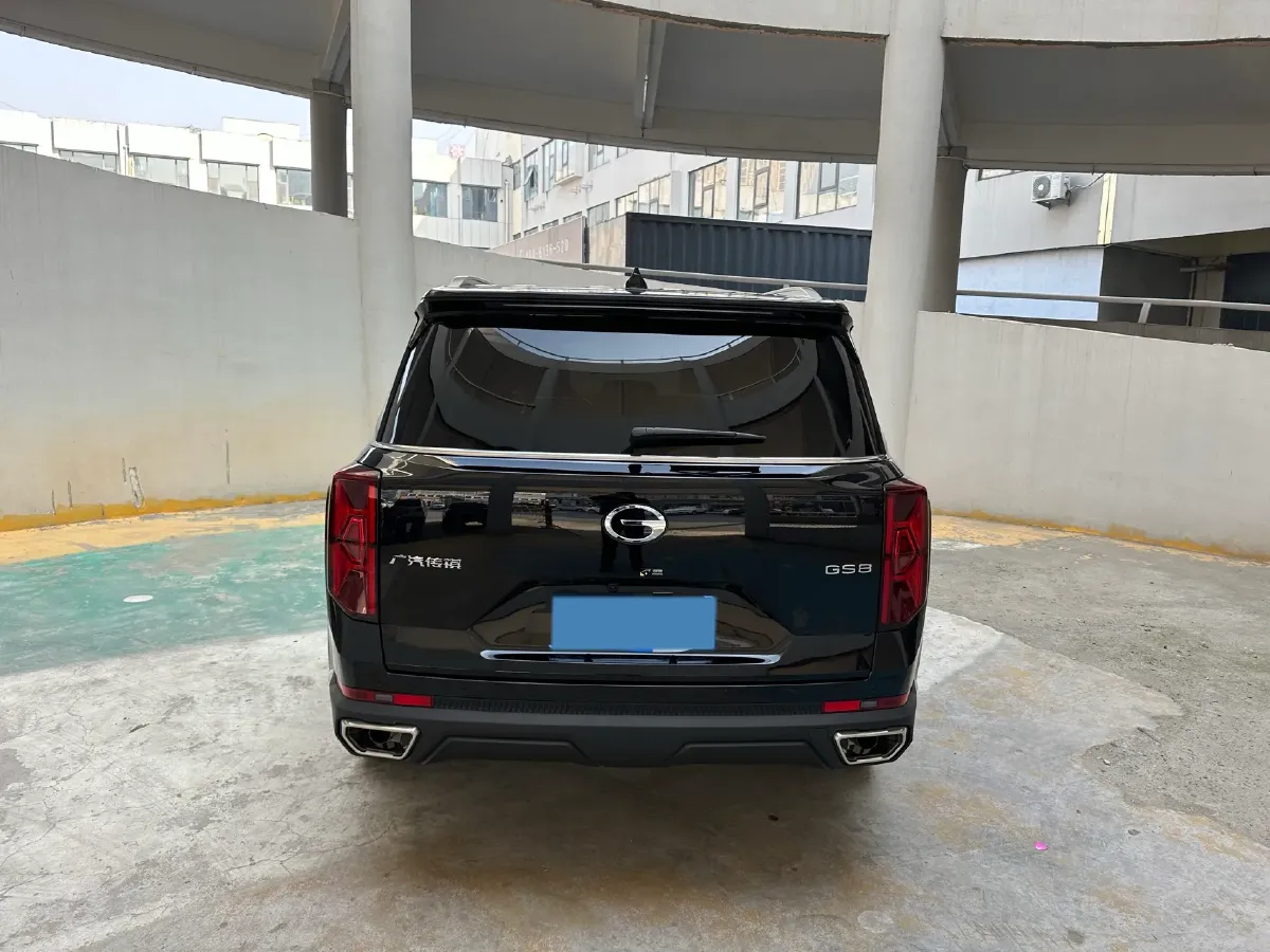2024 GAC Trumpchi GS8 2.0T 252HP L4 8AT,autocango,china used car exporter,china ev exporter,chinese used car exporter,chinese used ev exporter