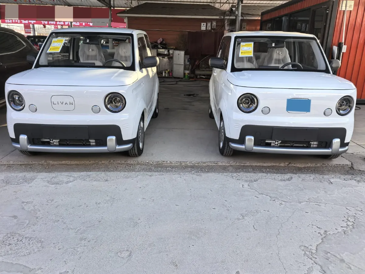 2025 ZD Rainbow BEV,autocango,china used car exporter,china ev exporter,chinese used car exporter,chinese used ev exporter