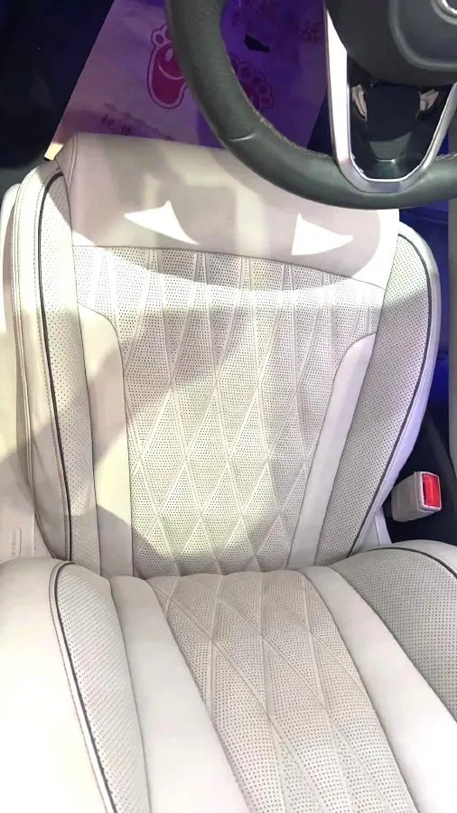 2022 GAC Trumpchi GS8 2.0T 252HP L4 8AT,autocango,china used car exporter,china ev exporter,chinese used car exporter,chinese used ev exporter