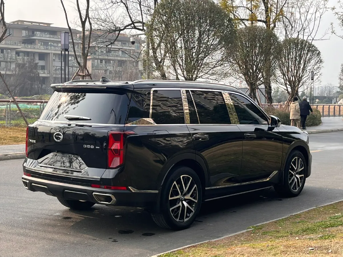 2024 GAC Trumpchi GS8 2.0T 252HP L4 8AT,autocango,china used car exporter,china ev exporter,chinese used car exporter,chinese used ev exporter