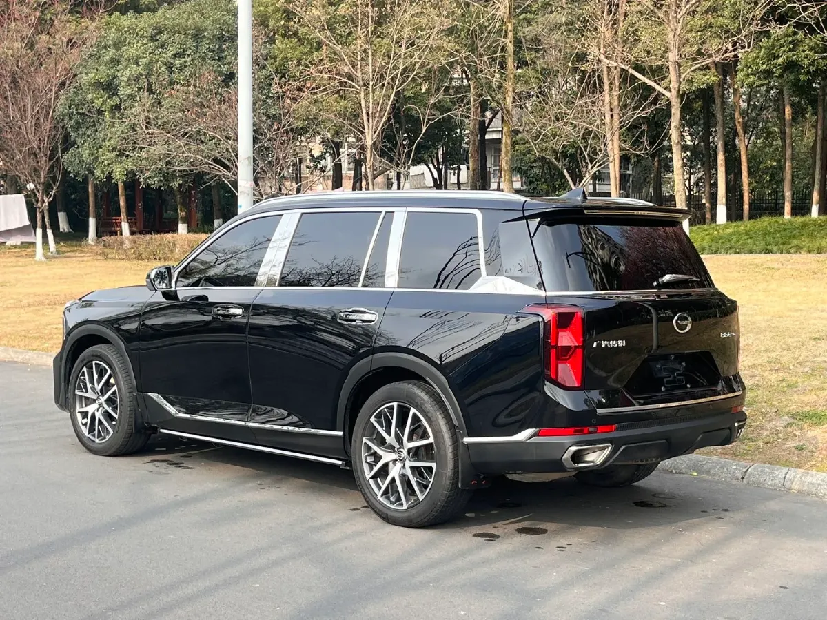 2024 GAC Trumpchi GS8 2.0T 252HP L4 8AT,autocango,china used car exporter,china ev exporter,chinese used car exporter,chinese used ev exporter