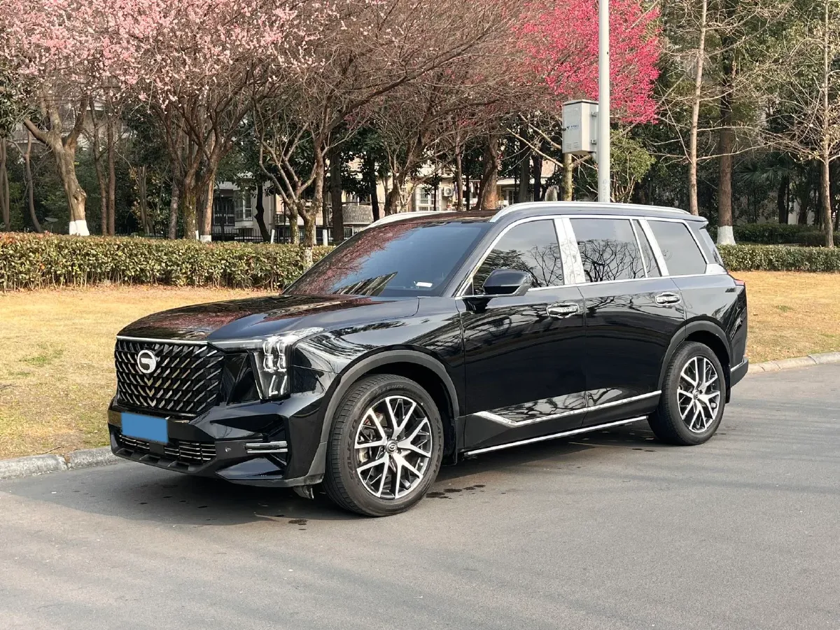2024 GAC Trumpchi GS8 2.0T 252HP L4 8AT,autocango,china used car exporter,china ev exporter,chinese used car exporter,chinese used ev exporter