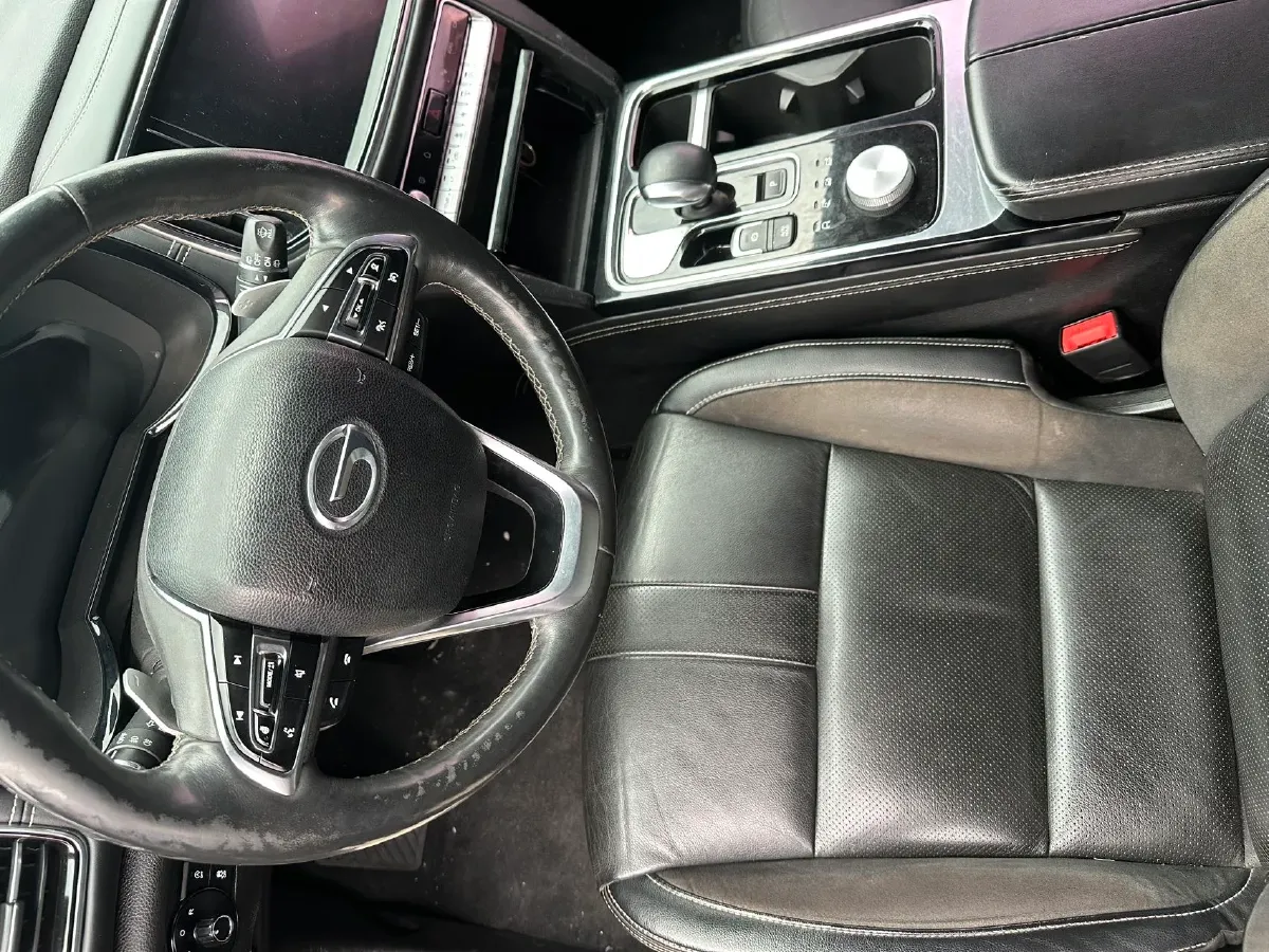 2020 GAC Trumpchi GS8 2.0T 252HP L4 6AT,autocango,china used car exporter,china ev exporter,chinese used car exporter,chinese used ev exporter