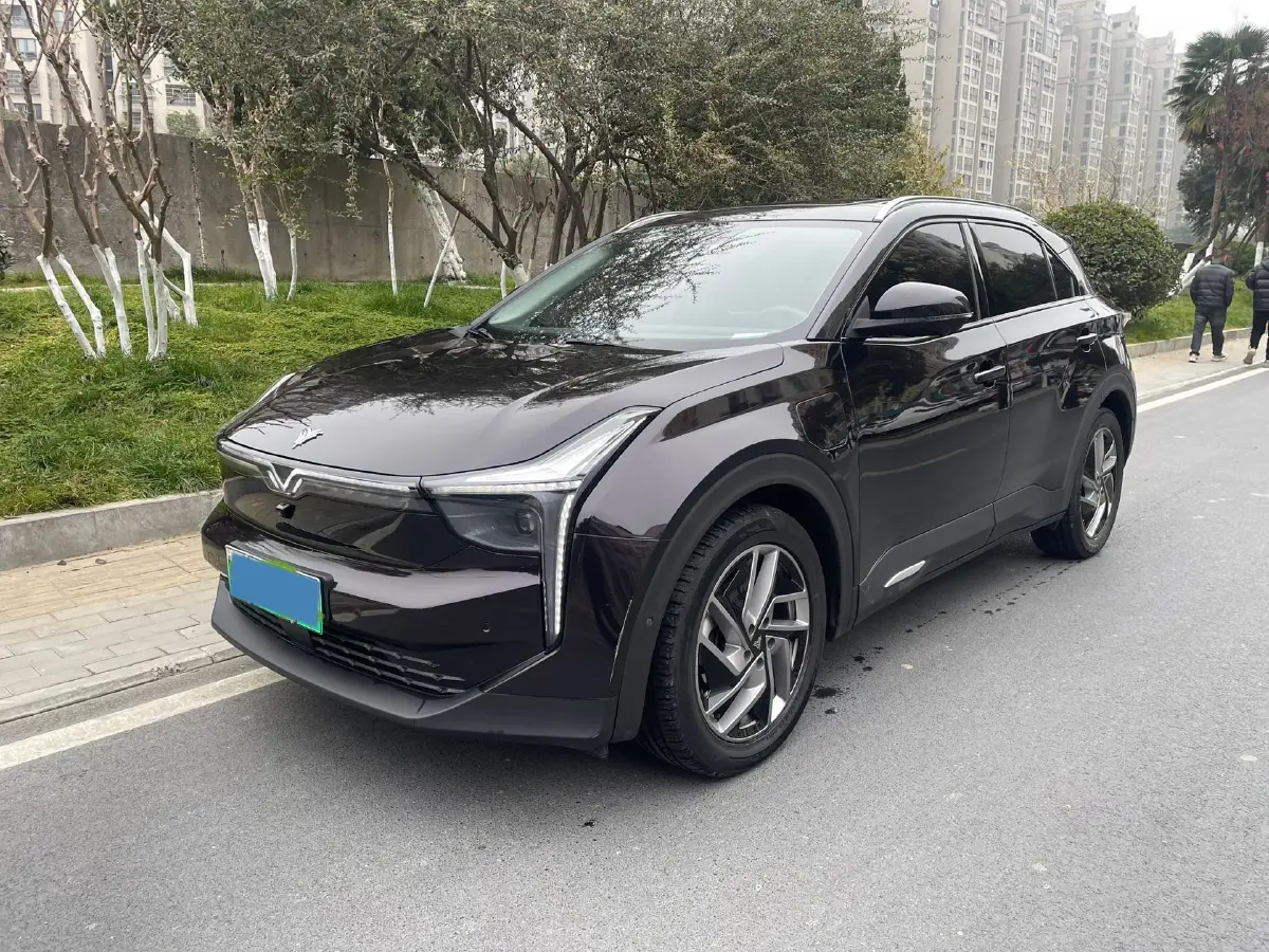 2021 Neta U BEV 66.23KWH