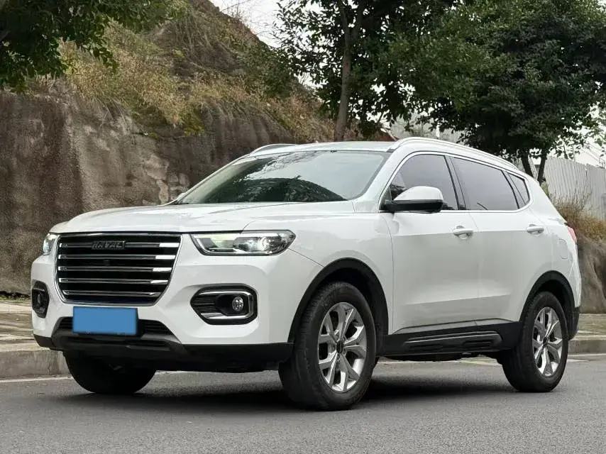 2019 Haval H6 1.5T 169HP L4 7DCT