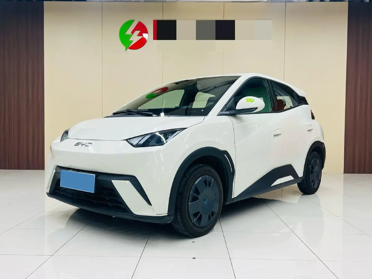 2025 BYD Seagull BEV 30.08KWH