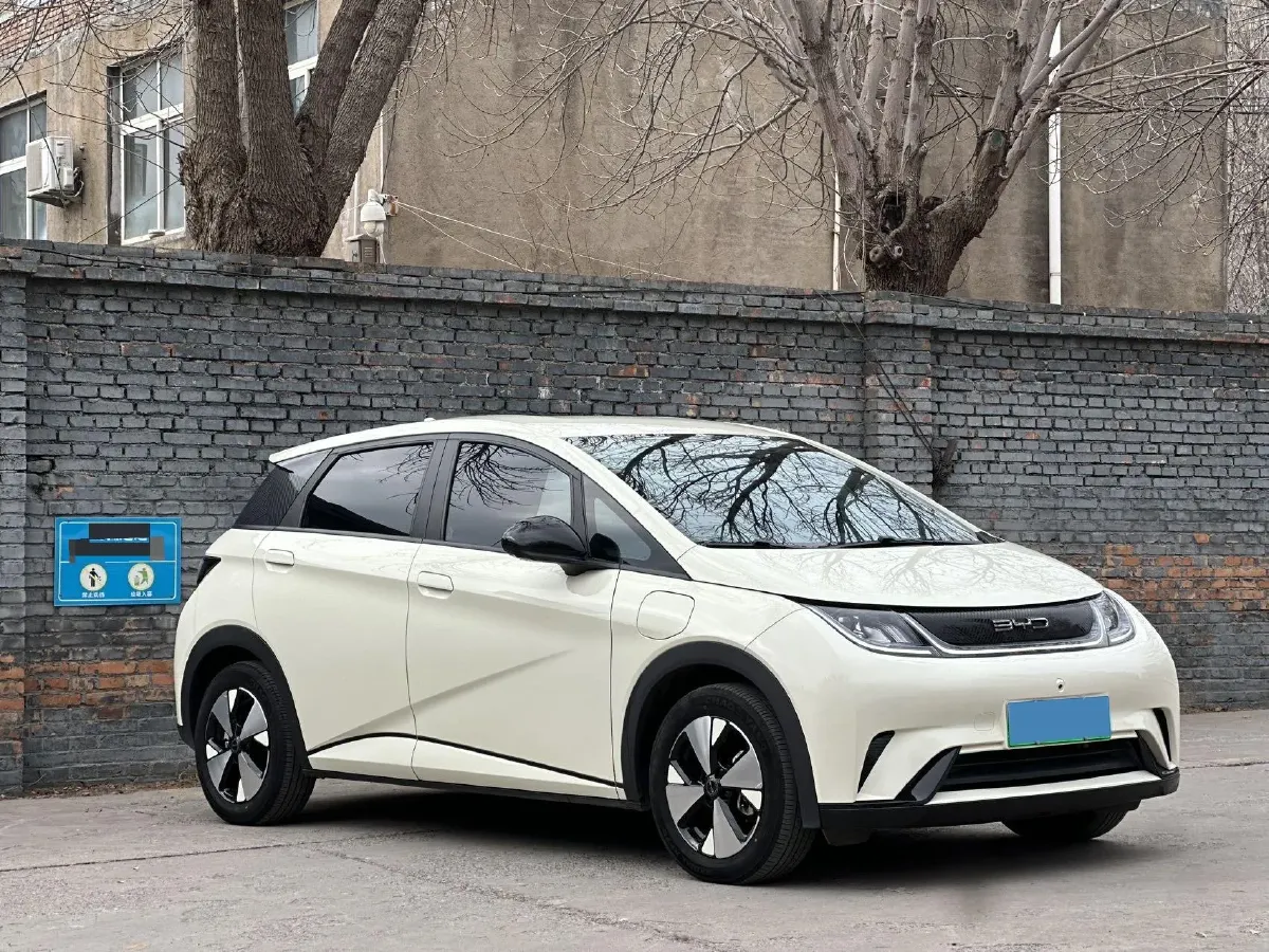 2023 BYD Dolphin BEV 44.928KWH,autocango,china used car exporter,china ev exporter,chinese used car exporter,chinese used ev exporter