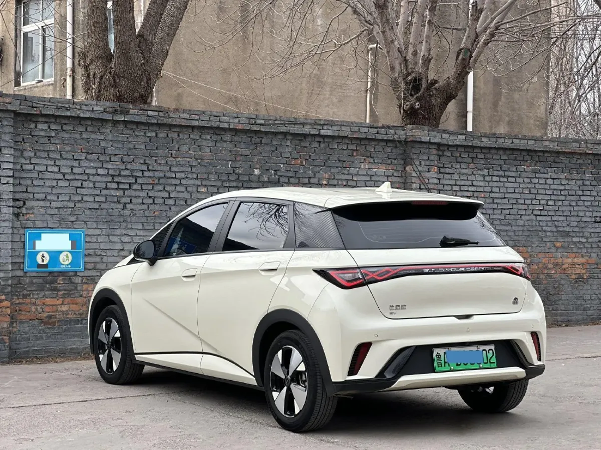 2023 BYD Dolphin BEV 44.928KWH,autocango,china used car exporter,china ev exporter,chinese used car exporter,chinese used ev exporter