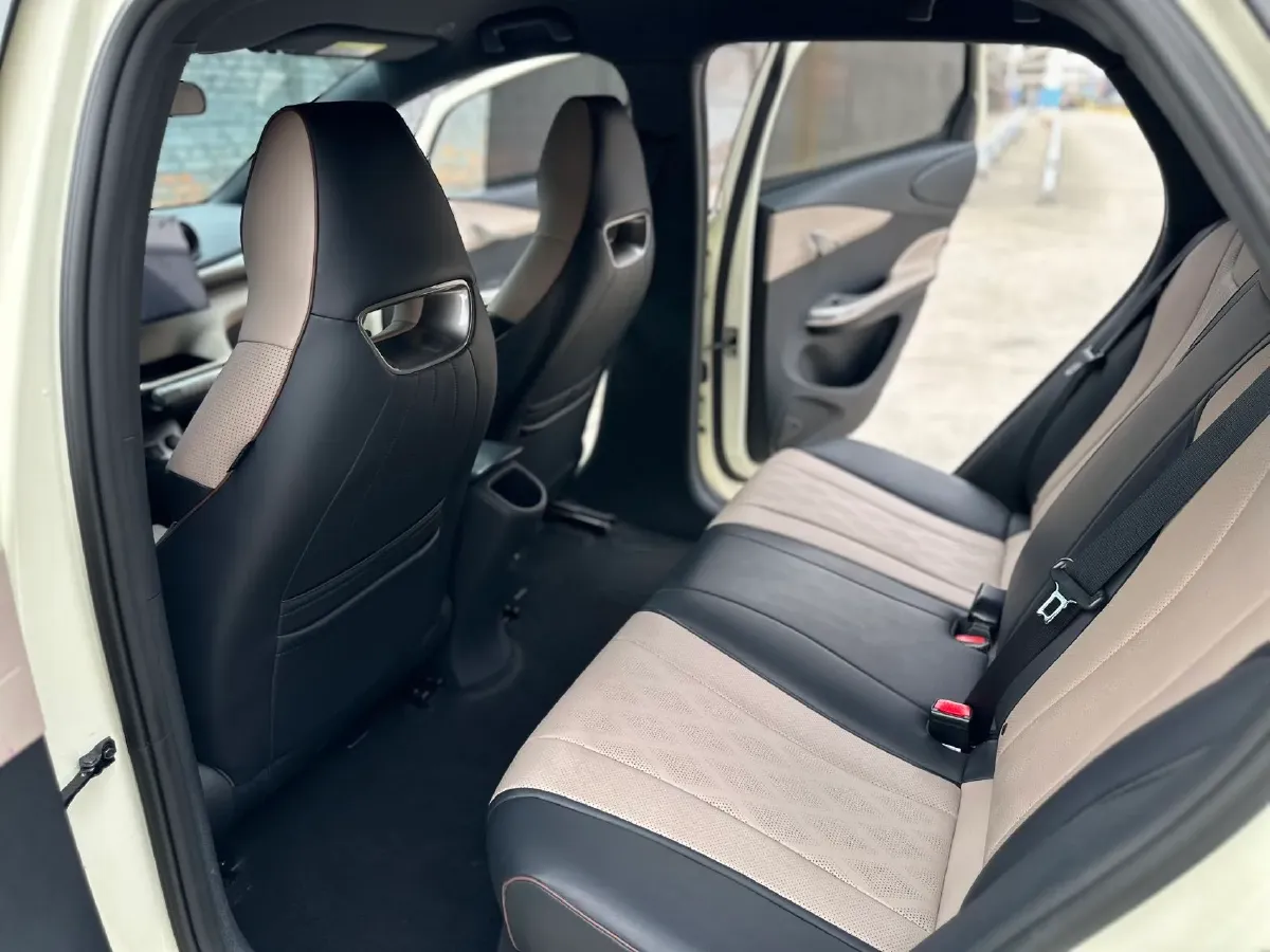 2023 BYD Dolphin BEV 44.928KWH,autocango,china used car exporter,china ev exporter,chinese used car exporter,chinese used ev exporter