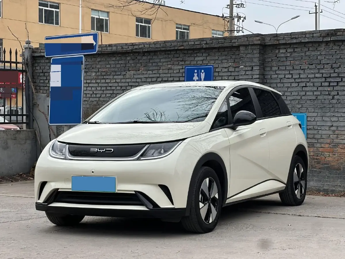 2023 BYD Dolphin BEV 44.928KWH