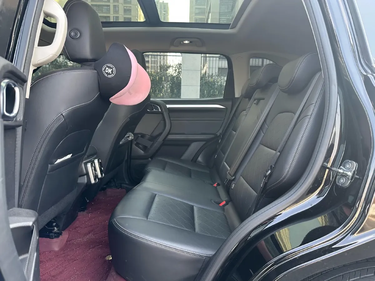 2022 Haval Dargo 1.5T 184HP L4 7DCT,autocango,china used car exporter,china ev exporter,chinese used car exporter,chinese used ev exporter