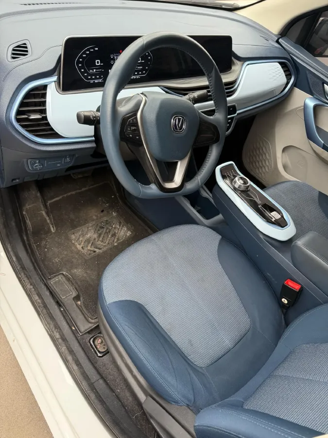 2022 ChangAn BenBen E-Star BEV 31.95KWH,autocango,china used car exporter,china ev exporter,chinese used car exporter,chinese used ev exporter