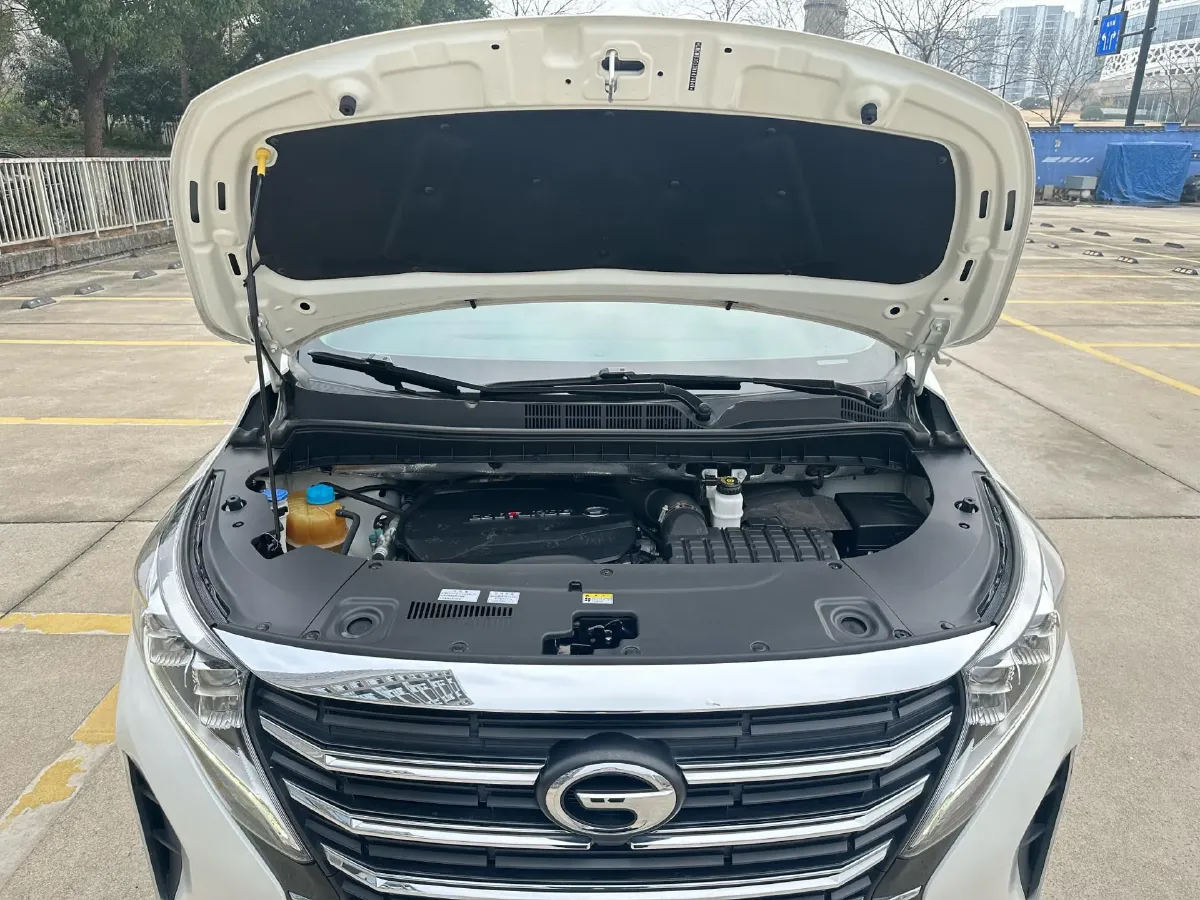 2021 GAC Trumpchi M8 2.0T 252HP L4 8AT,autocango,china used car exporter,china ev exporter,chinese used car exporter,chinese used ev exporter