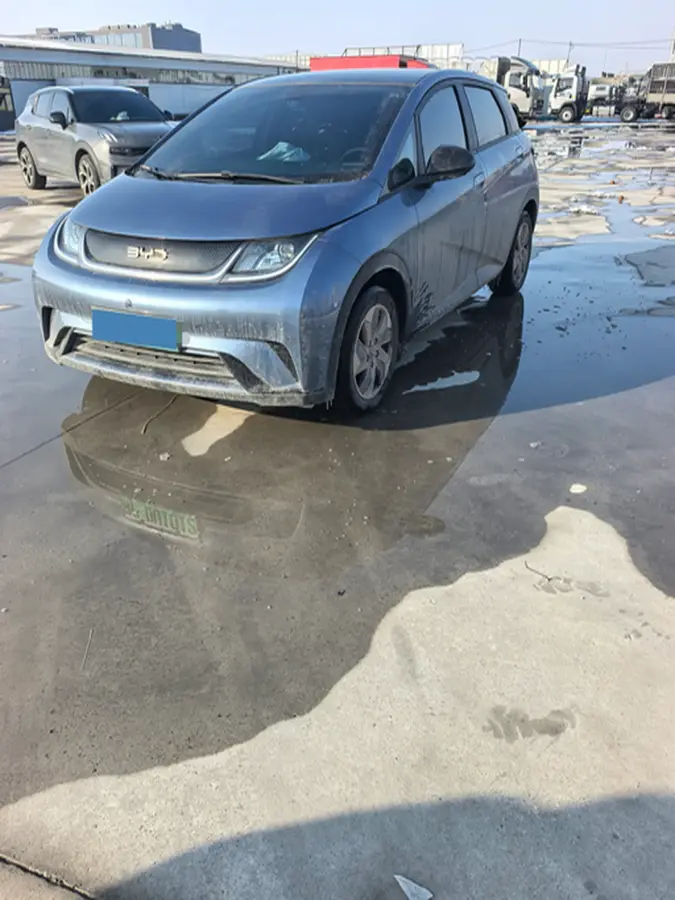 2025 BYD Dolphin BEV 44.928KWH