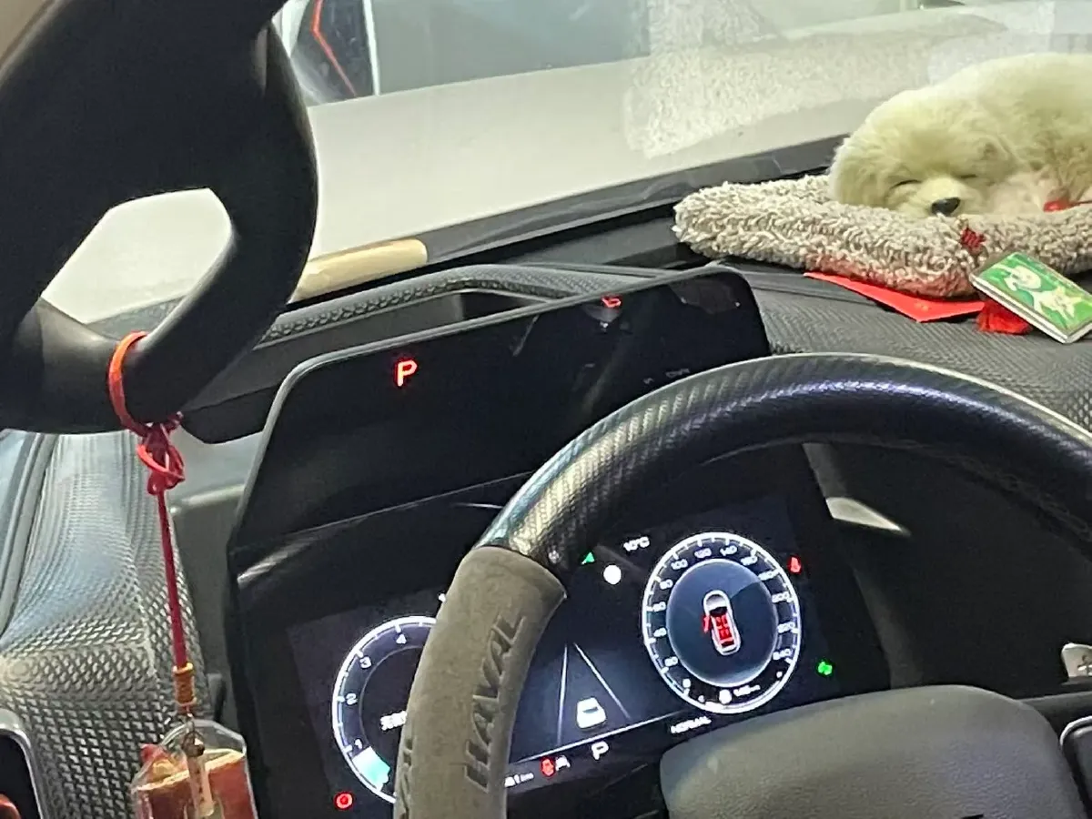 2021 Haval Dargo 1.5T 169HP L4 7DCT,autocango,china used car exporter,china ev exporter,chinese used car exporter,chinese used ev exporter