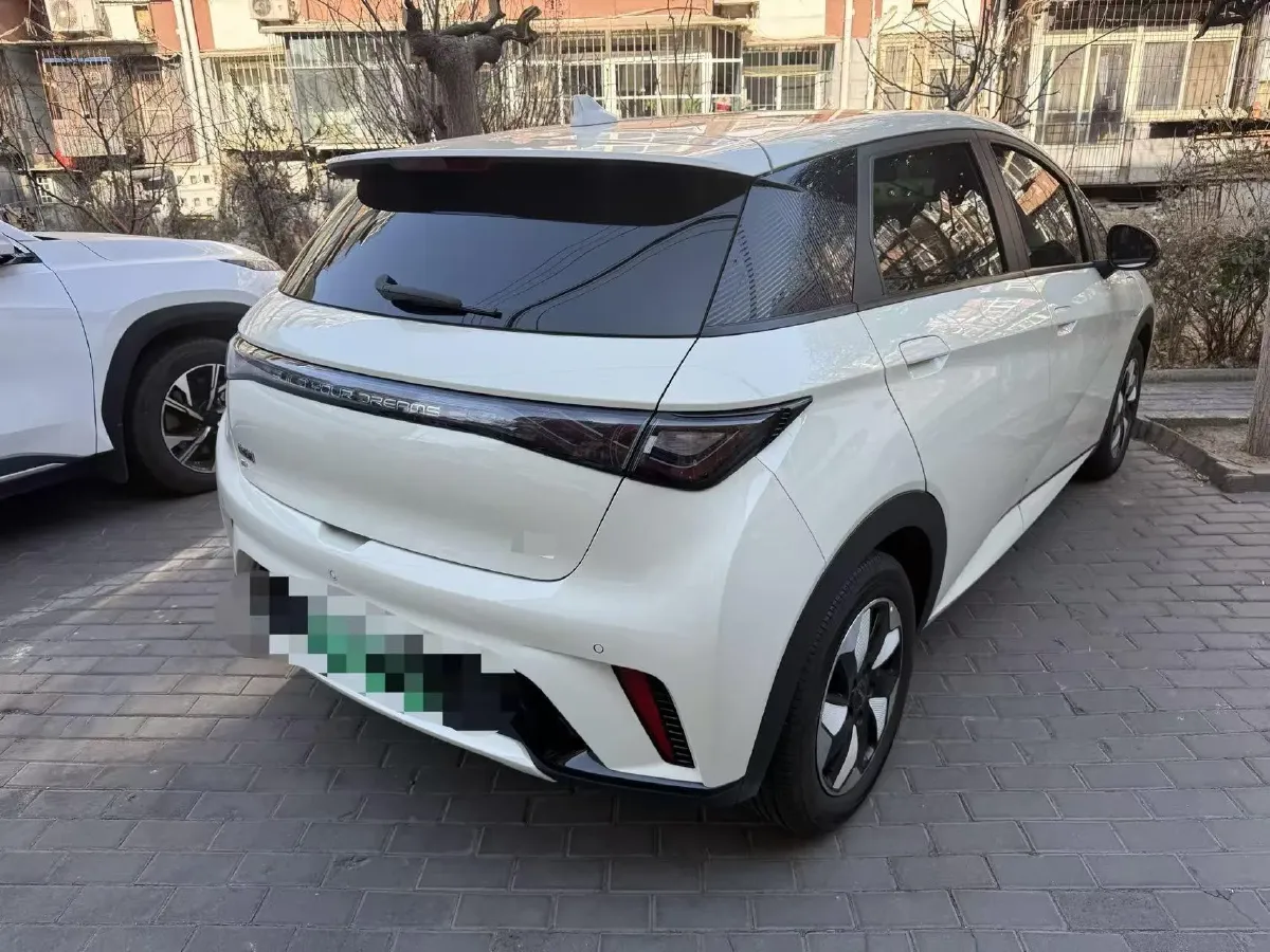 2024 BYD Dolphin BEV 44.928KWH,autocango,china used car exporter,china ev exporter,chinese used car exporter,chinese used ev exporter